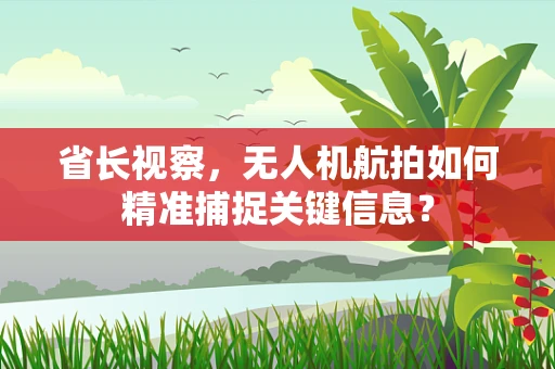省长视察，无人机航拍如何精准捕捉关键信息？
