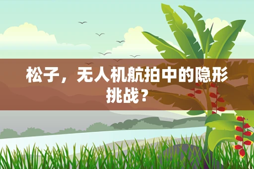 松子，无人机航拍中的隐形挑战？