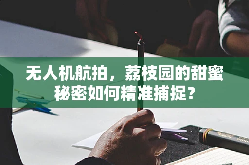 无人机航拍，荔枝园的甜蜜秘密如何精准捕捉？