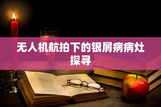 无人机航拍下的银屑病病灶探寻