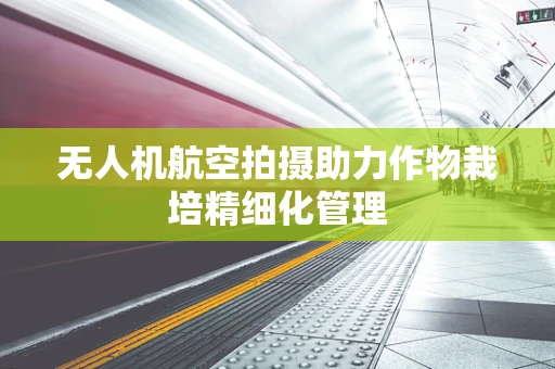 无人机航空拍摄助力作物栽培精细化管理