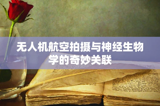 无人机航空拍摄与神经生物学的奇妙关联