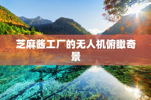 芝麻酱工厂的无人机俯瞰奇景
