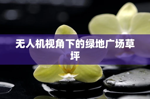 无人机视角下的绿地广场草坪