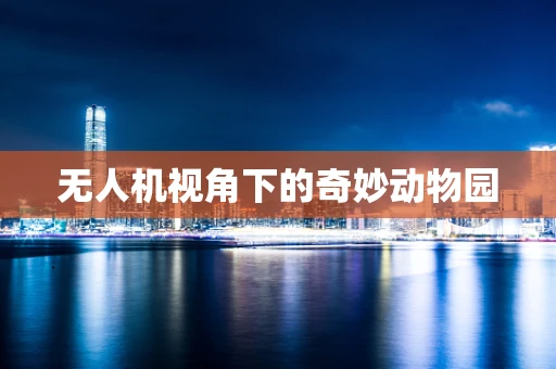 无人机视角下的奇妙动物园