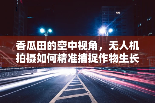 香瓜田的空中视角，无人机拍摄如何精准捕捉作物生长细节？