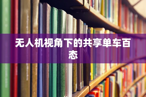 无人机视角下的共享单车百态