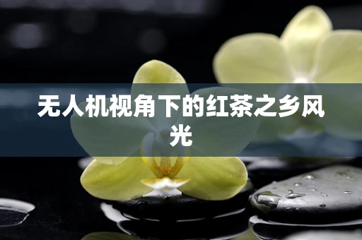无人机视角下的红茶之乡风光