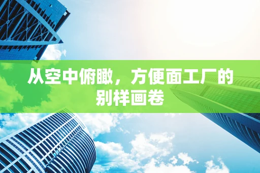 从空中俯瞰，方便面工厂的别样画卷