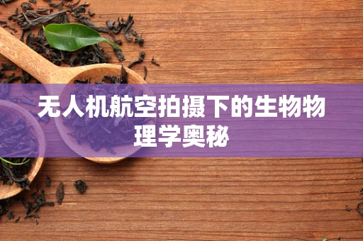 无人机航空拍摄下的生物物理学奥秘