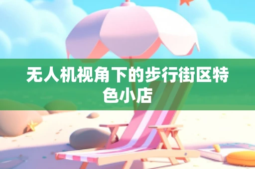 无人机视角下的步行街区特色小店