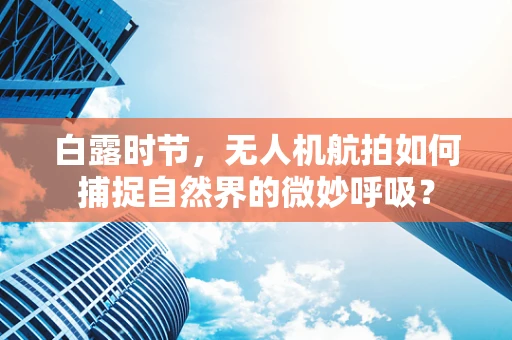 白露时节，无人机航拍如何捕捉自然界的微妙呼吸？