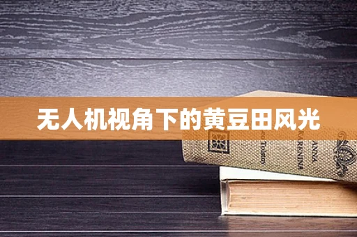 无人机视角下的黄豆田风光