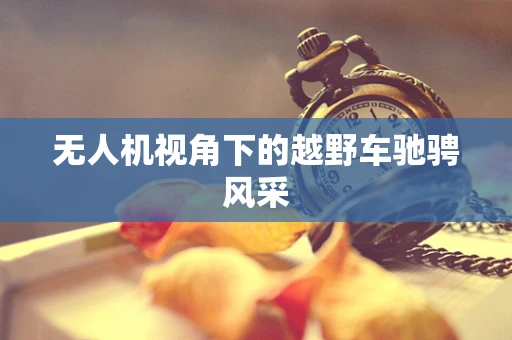 无人机视角下的越野车驰骋风采
