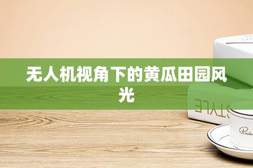 无人机视角下的黄瓜田园风光