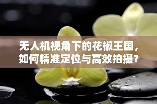 无人机视角下的花椒王国，如何精准定位与高效拍摄？