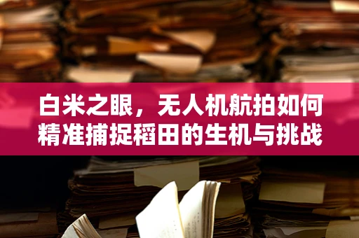 白米之眼，无人机航拍如何精准捕捉稻田的生机与挑战？