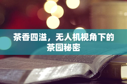 茶香四溢，无人机视角下的茶园秘密