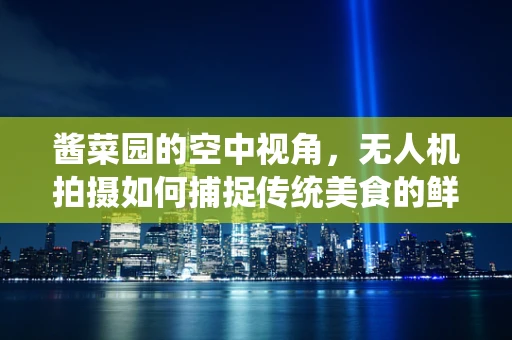 酱菜园的空中视角，无人机拍摄如何捕捉传统美食的鲜活瞬间？