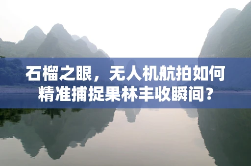 石榴之眼，无人机航拍如何精准捕捉果林丰收瞬间？