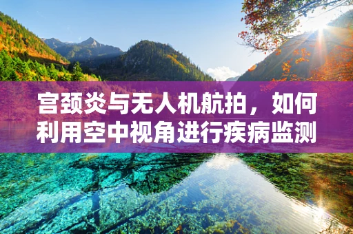 宫颈炎与无人机航拍，如何利用空中视角进行疾病监测的探索？