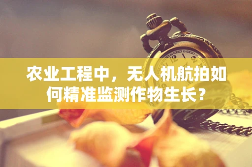 农业工程中，无人机航拍如何精准监测作物生长？