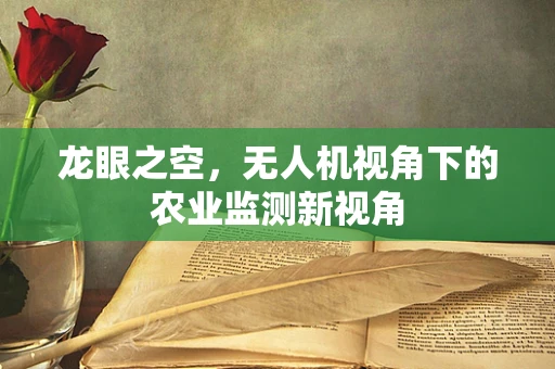 龙眼之空，无人机视角下的农业监测新视角