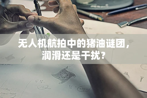 无人机航拍中的猪油谜团，润滑还是干扰？