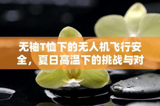 无袖T恤下的无人机飞行安全，夏日高温下的挑战与对策