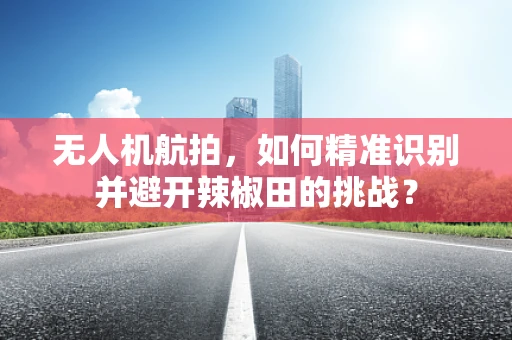 无人机航拍，如何精准识别并避开辣椒田的挑战？
