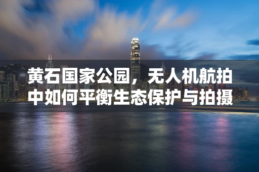 黄石国家公园，无人机航拍中如何平衡生态保护与拍摄需求？