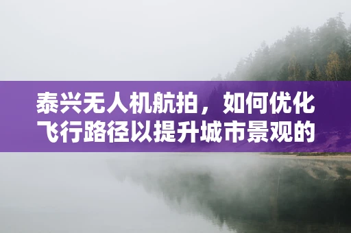 泰兴无人机航拍，如何优化飞行路径以提升城市景观的捕捉效果？