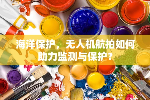 海洋保护，无人机航拍如何助力监测与保护？
