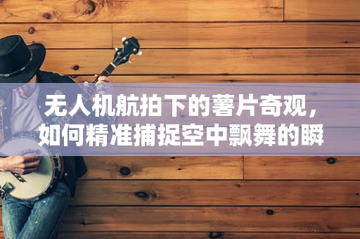 无人机航拍下的薯片奇观，如何精准捕捉空中飘舞的瞬间？