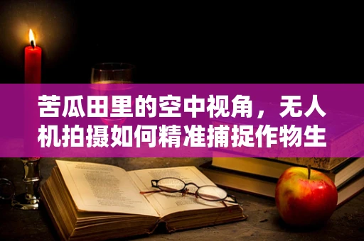 苦瓜田里的空中视角，无人机拍摄如何精准捕捉作物生长细节？