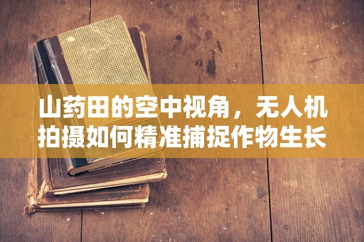 山药田的空中视角，无人机拍摄如何精准捕捉作物生长细节？