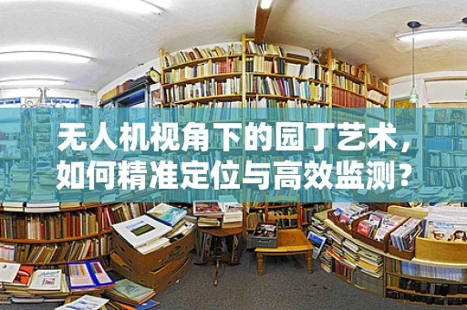 无人机视角下的园丁艺术，如何精准定位与高效监测？