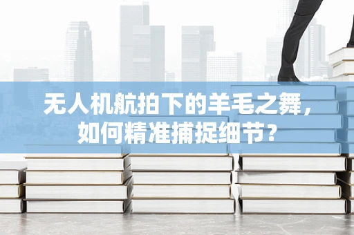 无人机航拍下的羊毛之舞，如何精准捕捉细节？
