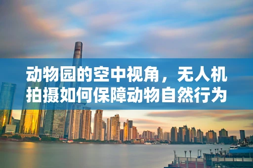动物园的空中视角，无人机拍摄如何保障动物自然行为记录？