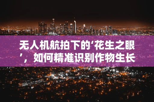 无人机航拍下的‘花生之眼’，如何精准识别作物生长状态？