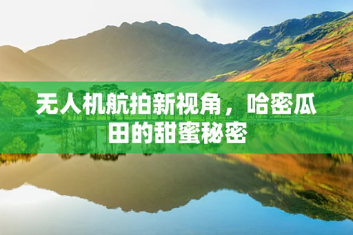 无人机航拍新视角，哈密瓜田的甜蜜秘密