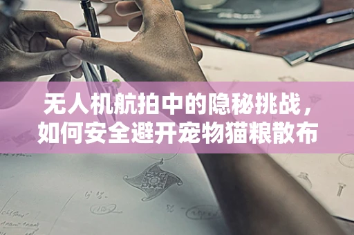 无人机航拍中的隐秘挑战，如何安全避开宠物猫粮散布区？