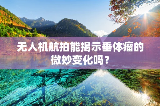 无人机航拍能揭示垂体瘤的微妙变化吗？