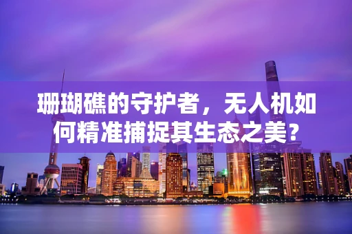 珊瑚礁的守护者，无人机如何精准捕捉其生态之美？