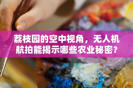荔枝园的空中视角，无人机航拍能揭示哪些农业秘密？