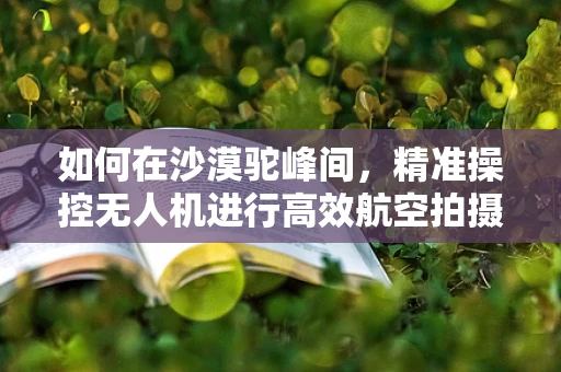 如何在沙漠驼峰间，精准操控无人机进行高效航空拍摄？