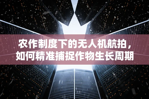 农作制度下的无人机航拍，如何精准捕捉作物生长周期的细微变化？