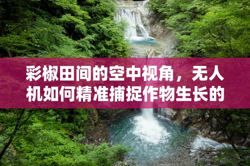 彩椒田间的空中视角，无人机如何精准捕捉作物生长的色彩斑斓？