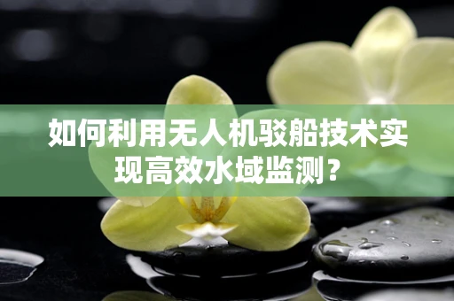 如何利用无人机驳船技术实现高效水域监测？
