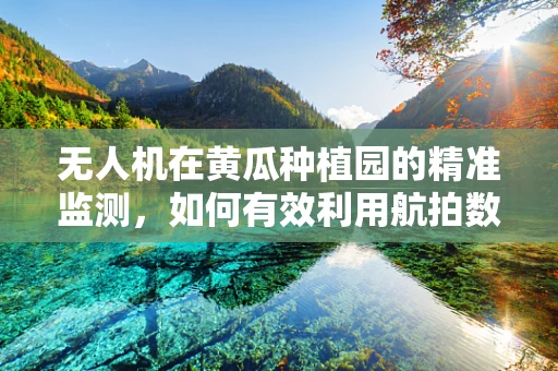 无人机在黄瓜种植园的精准监测，如何有效利用航拍数据提升产量？